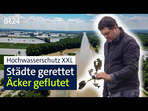 Flood protection with a blessing and a curse: Bavaria's largest floodplain | BR24 on site