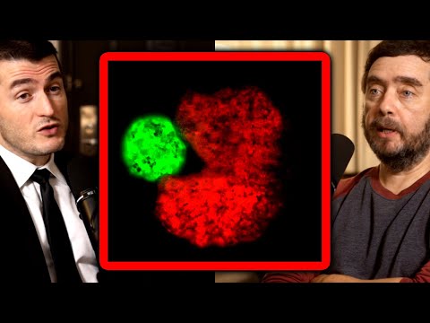 The limits of physics - Redefining biological intelligence | Michael Levin and Lex Fridman