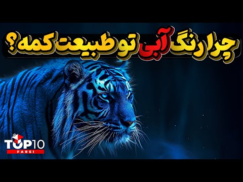 رنگ آبی مکمل زیبایی های طبیعت چطور نمایان میشود؟