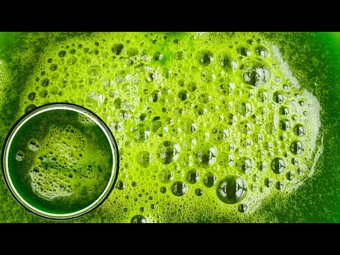 100% NATURAL PARSLEY SHAMPOO