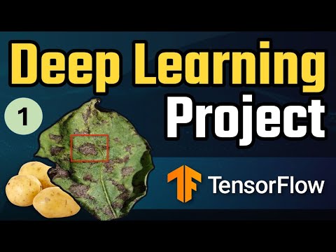 Deep learning project end to end | Potato Disease Classification Using CNN - 1 : Problem Statement