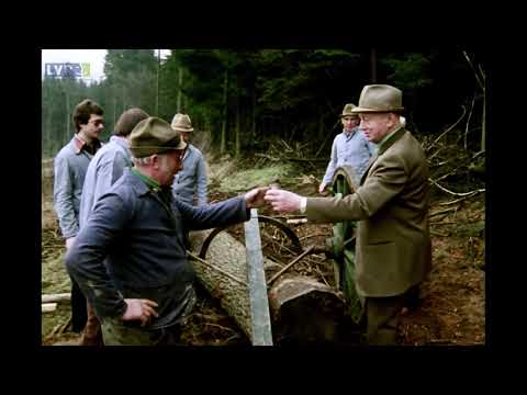 Dielsägen auf dem Schneideplatz.