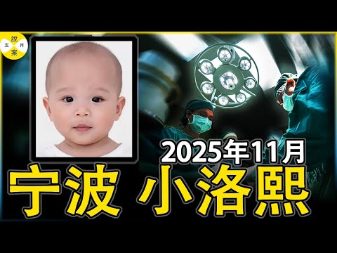 寧波小洛熙在一場醫生口中的微創小手術中離世 泌尿科醫生主刀心臟手術和消失的手術室監控以及5個月前的悲劇重演#寧波小洛熙#醫療事故#2025年11月最新