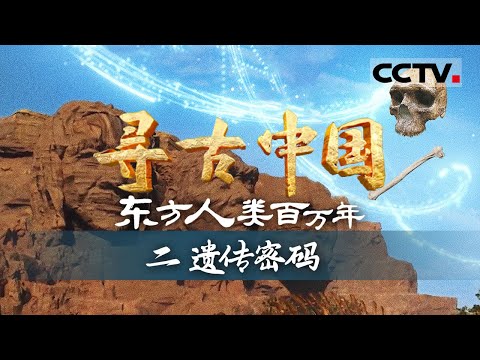 《寻古中国》遗传密码：60年前修铁路意外发现考古盲盒 两颗牙齿揭开中国古人类百万年前身世之谜——东方人类百万年【CCTV纪录】