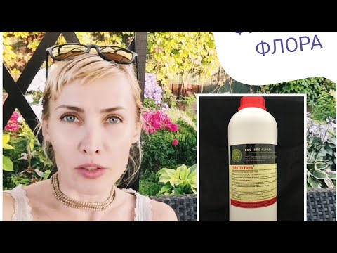 Пробуем ФИТАКТИВ Флора. Тест до и после. Розы