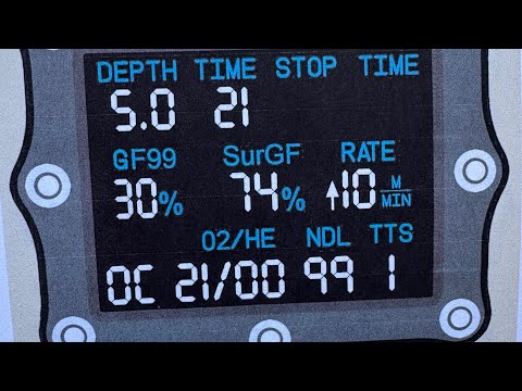 Video 8 - The Relationship Between GF99 and SurGF (Based Off Andy Davis’s Article)