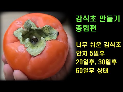 감식초 만들기 처음부터 끝까지, 시기별 발효상태, 정점찾기 및 보관방법