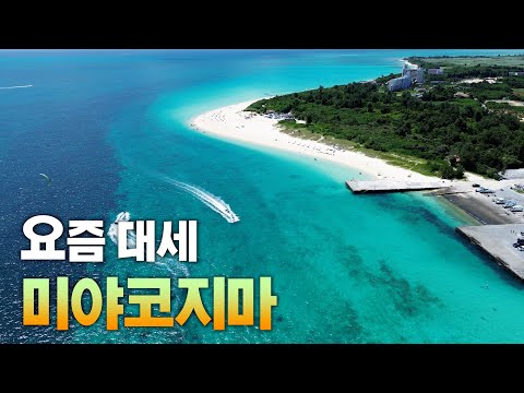인싸들이 정복한 오키나와 시골 섬, 미야코지마 여행 총정리 【오키나와 2편】