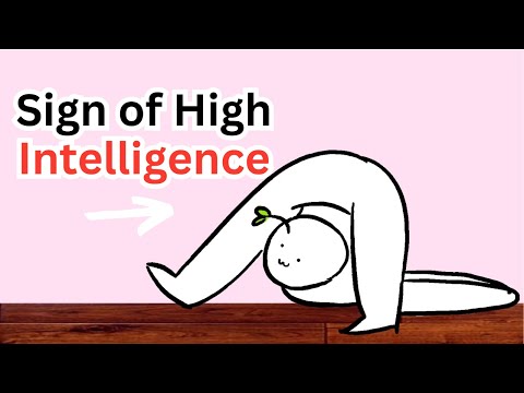 Weird Habits That Actually Reveal High Intelligence