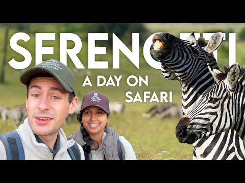 Tanzania Safari VLOG - Migration Camp, Game Drive in the Northern Serengeti