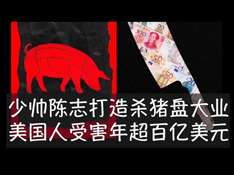 美国财政部制裁柬埔寨国籍的中国富豪、38岁的陈志和他创办的太子控股集团，指控他是东南亚网络犯罪帝国的主谋。美英执法机构查封了价值150亿美元、近13万枚比特币，形成史上最大规模打击金融诈骗的行动之一。