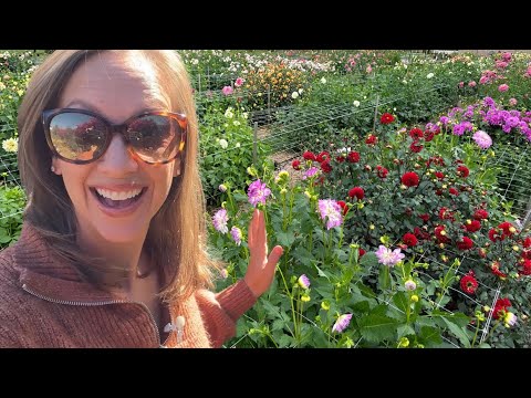 REVEALING MY SECRET GARDEN & JOB! Come Work with Me as a Flower Photographer & Writer