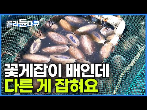 바다는 이래서 재밌다! 꽃게 말고 다른 거 실컷 잡아놓고 밥은 든든하게 잘 먹는 1톤짜리 통통배┃거친 바다 어부의 낭만┃한국기행┃#골라듄다큐