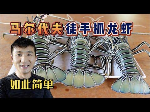 《环球探海记》马尔代夫 第12天：水深1米处就有好多大龙虾，连船长都来和我抢着抓！ #马尔代夫 #抓龙虾 #旅行攻略 #潜水 #旅行