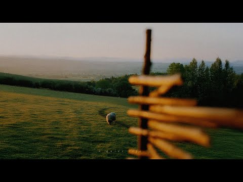 a playlist for reading while the sun softly filters through the trees