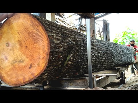 "UNMATCHED"! SPLITTING THE WORLD'S LARGEST MAHOGANY MONSTER