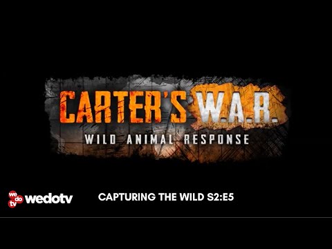 Capturing the Wild | Carter's W.A.R. S2/E5 | wedotv
