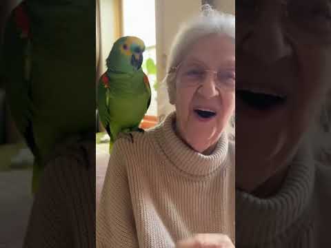 funny talk with Parrot 🤣