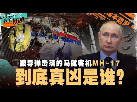 298位生命神秘消失在高空中，马航MH-17被击落背后的黑手到底是谁？【#课本不会教的历史 EP37】