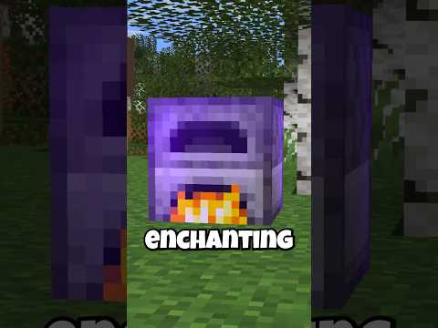 Enchant BLOCKS in Minecraft