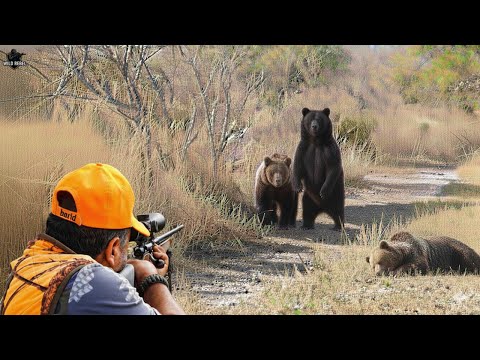 Shocking video: American hunters are dealing with thousands of invasive black bears in this way.
