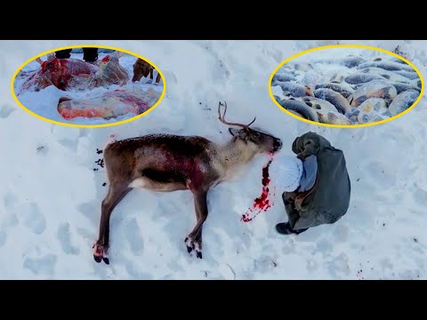 To Stock Up On Food Before The Blizzard Arrived, She Hunted Two Reindeer And Countless Fish Wild!