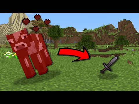 Beating Minecraft With Random Mob Drops.