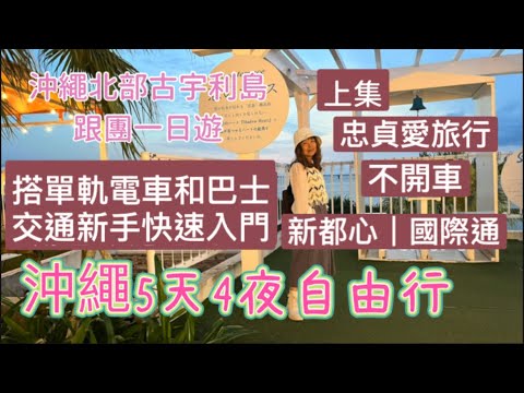 (上集)沖繩5天4夜「不開車」交通快速入門攻略!搭單軌電車和巴士(會說明怎麼搭車到景點)暢遊沖繩和吃美食。参加沖繩北部一日遊跟團,行程規劃!也會詳細介紹怎麼搭車到景點!在哪裡搭車都會介紹喔!