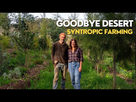 Portugal is Turning into a Desert – Can This Farming Method Save It?