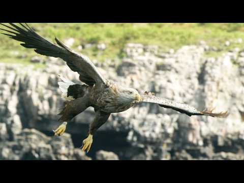 Surviving Scotland’s Fiercest Frontier (4K Documentary)