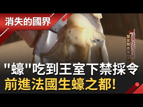 生蠔口感甜美到王室下達禁採令？法國漁民受不了"無蠔可食"乾脆自己開始養殖 前進貝隆河口尋找世界"名蠔"！│李天怡主持│【消失的國界  PART2】20220212│三立新聞台
