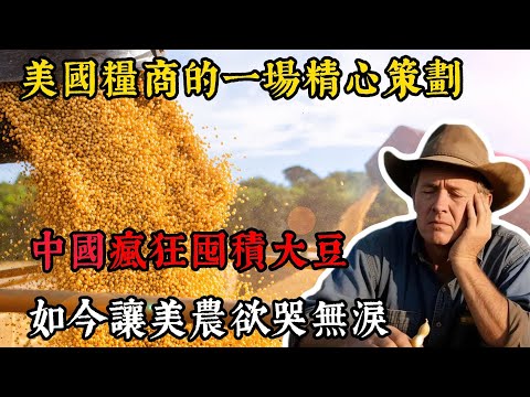 美國糧商的一場精心策劃,讓97%的大豆企業倒閉後,中國靠瘋狂囤積大豆奪回主動權 #中國 #大豆 #商業