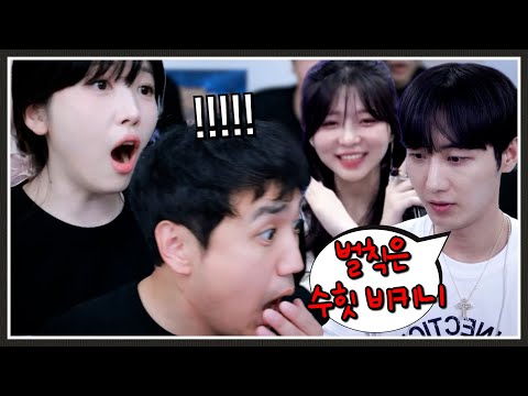 우리가 지면 수피 비키니 할게