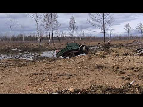 22 апреля 2025 г.