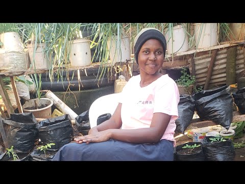  Kindly Come Support Uwera To Donate Planted Vegetable Sack Gardens To 100 homes.