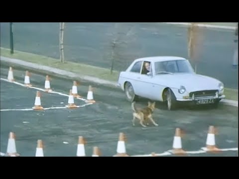 Driving After 4 Pints and 7 Whiskeys 