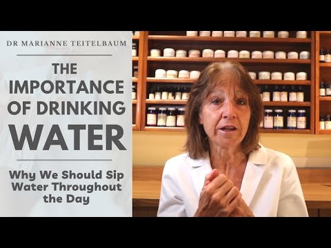 The Importance of Drinking Water | Why We Should Sip Water Throughout the Day
