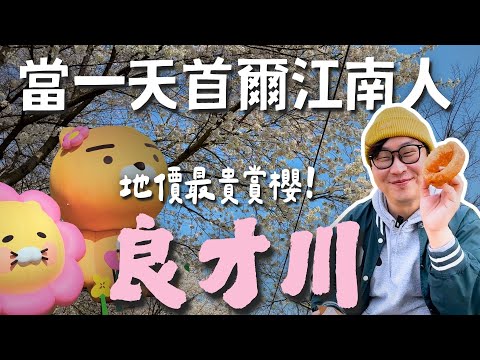 當一天首爾江南人😎韓國地價最貴賞櫻「良才川」【韓國賞櫻】| 胃公子 | 胃酸人生活