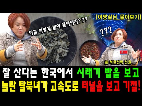 [이명실_몰아보기]  잘 산다는 한국에서 시래기 밥을 보고 놀라 자빠진 탈북녀가 고속도로 터널 형광등을 보고 기절했다!