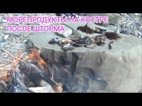 Сбор морепродуктов после шторма. Берег японского моря. поиск ракушек после шторма.