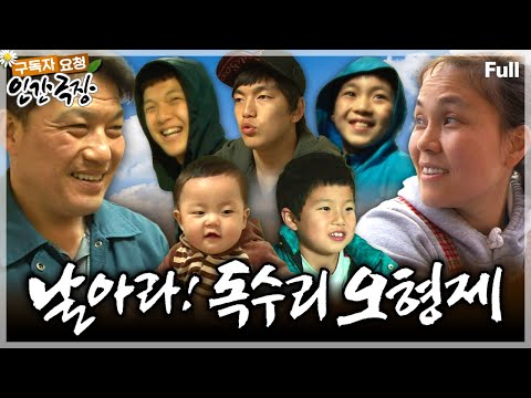 [봄맞이🌸구독자 요청 5탄] '분식 맛집' 강철 아빠와 슈퍼우먼 억척 엄마, 꽃미남 '독수리 5형제'가 함께하는 희망찬 일상💖 인간극장 ‘날아라! 독수리 오형제’ | KBS 방송