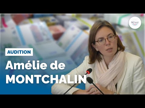 Délinquance financière : audition d'Amélie de Montchalin