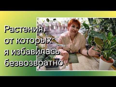 Растения, от которых я избавилась без сожаления и не хочу больше выращивать