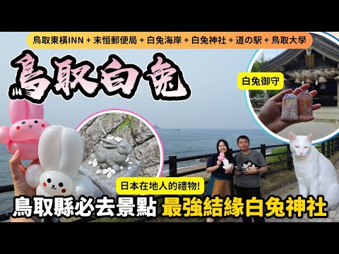 【日本山陰自由行】🐰全日本最浪漫白兔神社・白兔海岸一日遊全攻略｜非自駕也能到🌊🚶‍♀️鳥取自由行必去景點 Tottori Japan Travel｜Momojoejoe遊山陰VlogEP5