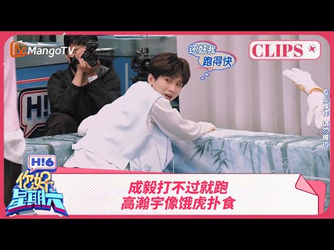 成毅主打一个打不过就跑 吴泽林锐评高瀚宇像饿虎扑食 | 你好星期六 Hello Saturday | MangoTV