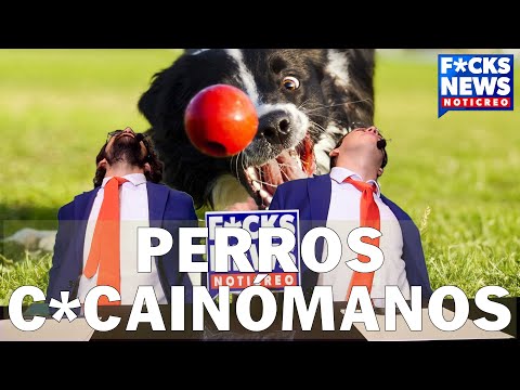 F*cksNews Palma: Perros C*cainómanos
