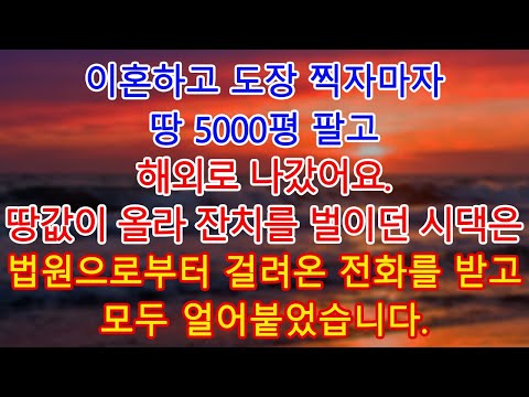 이혼하고 도장 찍자마자 땅 5000평 팔고 해외로 나갔어요. 땅값이 올라 잔치를 벌이던 시댁은 전화 한 통을 받고 모두 얼어붙었습니다.| 고부사연 | 감동사연 | 오디오북 |
