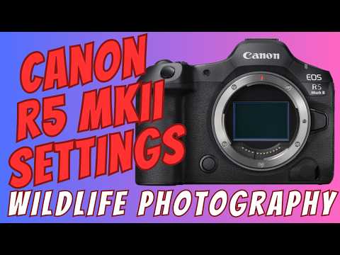 CANON R5 MKII- Autofocus Setup and Button Layout for Bird and Wildlife Photography