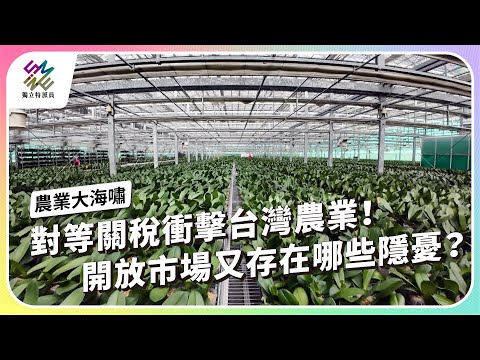 對等關稅衝擊台灣農業！開放市場又存在哪些隱憂？｜農業大海嘯｜公視 #獨立特派員 第918集 20250903