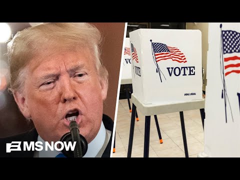 ‘Five-alarm fire': Eddie Glaude says Trump's election rhetoric threatens Black voter access